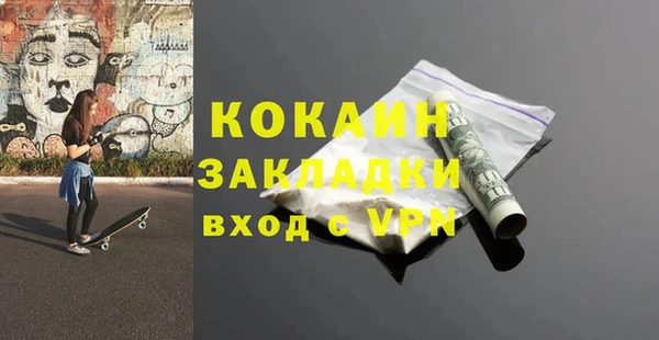 прущие грибы Балабаново
