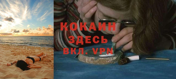 прущие грибы Балабаново