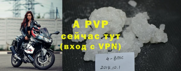 гидра Балахна