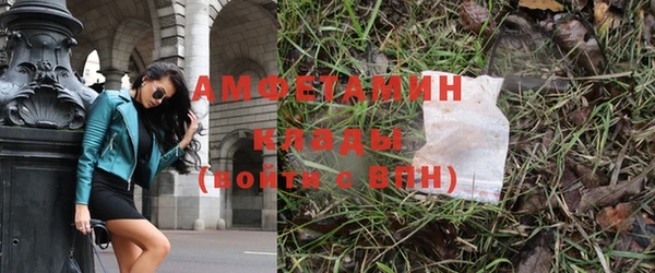 прущие грибы Балабаново