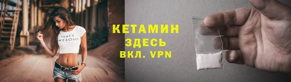 прущие грибы Балабаново