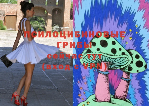 прущие грибы Балабаново