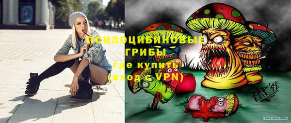 прущие грибы Балабаново