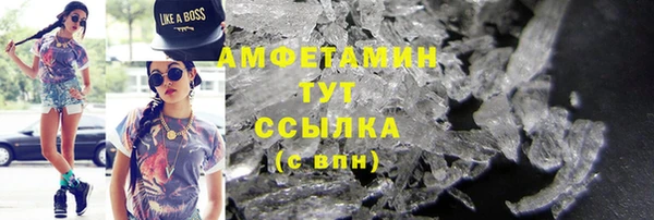прущие грибы Балабаново