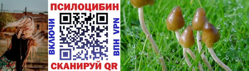 Галлюциногенные грибы ЛСД  кракен зеркало  Ладушкин 